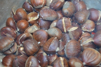 MAGUSTO